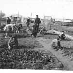 Δημοτικό Σχολείο Καστρακίου – 1955 – Σχολικός Κήπος
