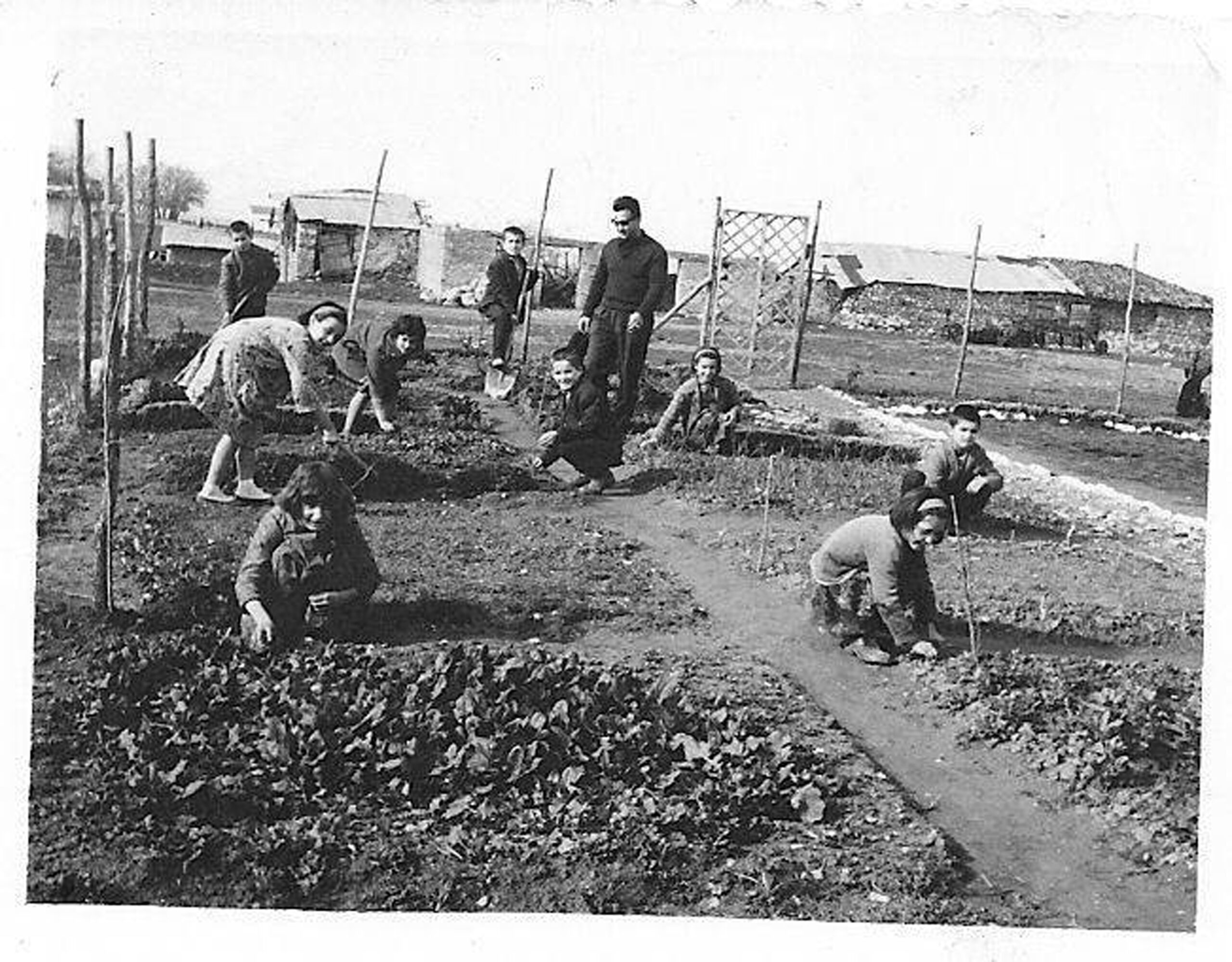 Δημοτικό σχολείου Καστρακίου 1955 - Σχολικός κήπος